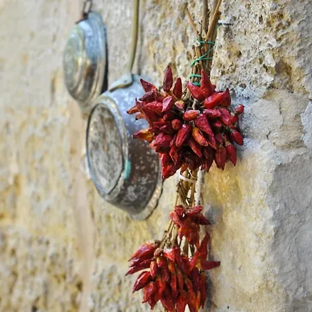 Il Giardino Degli Aranci - Artemisia Homes Villa Spongano