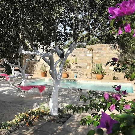 Villa Il Giardino Degli Aranci - Artemisia Homes Spongano