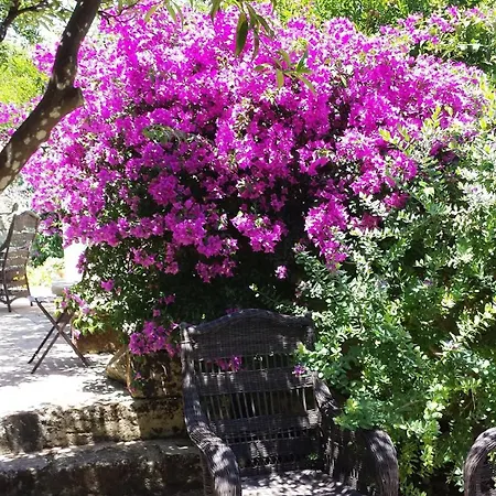 Il Giardino Degli Aranci - Artemisia Homes * Spongano